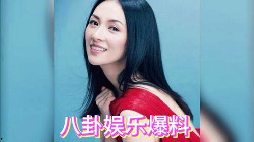 娱乐圈资深吃瓜艺人有哪些,揭秘幕后故事与八卦风云