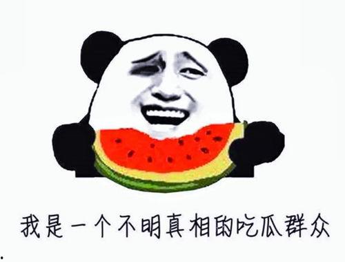 娱乐圈吃瓜呆头鹅是谁,揭秘其真实身份与幕后故事