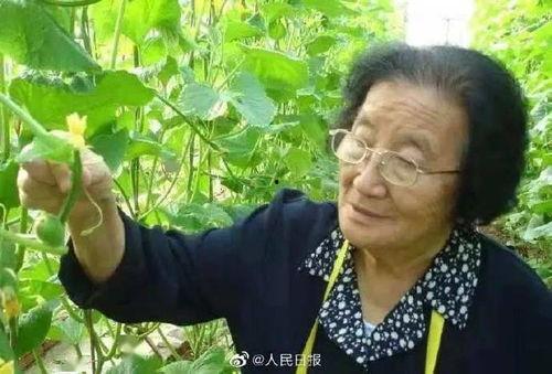 娱乐圈吃瓜呆头鹅是谁,揭秘其真实身份与幕后故事