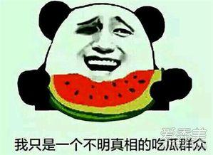 娱乐吃瓜风格是什么意思啊,揭秘“吃瓜群众”的娱乐吃瓜风格