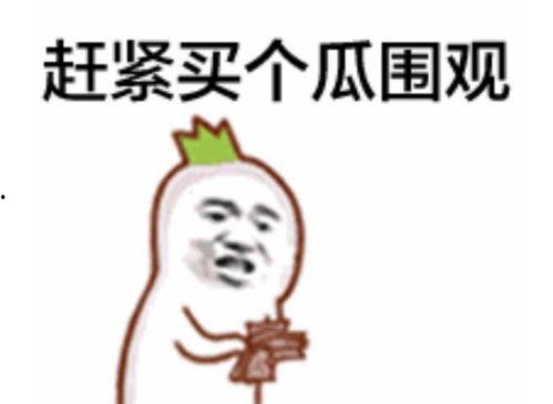 娱乐八卦吃瓜图片表情包下载,吃瓜表情包下载，笑翻你的日常！