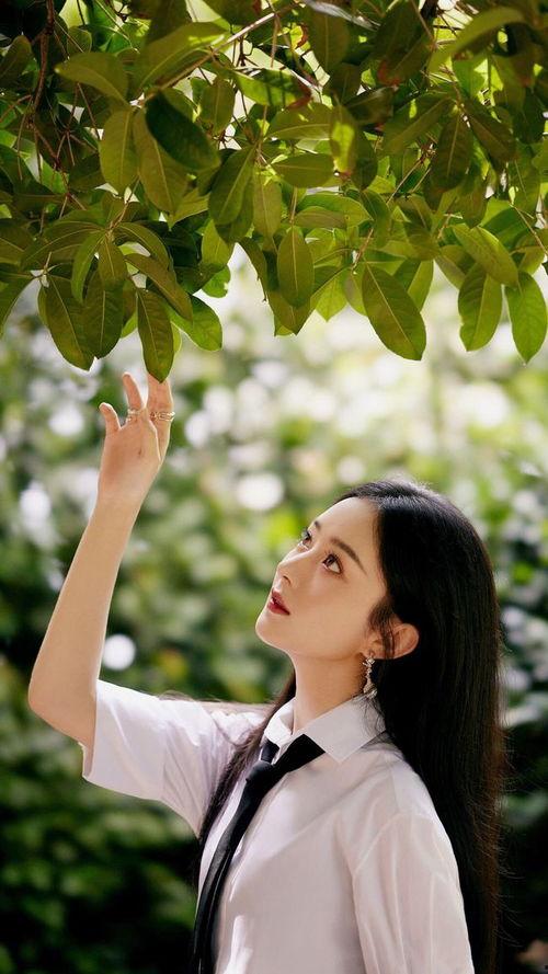 娱乐圈9条吃瓜爆料视频,揭秘明星背后的秘密与真相