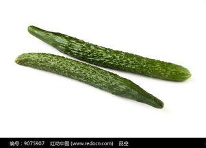 吃瓜娱乐的背景图片高清,吃瓜娱乐背后的视觉盛宴