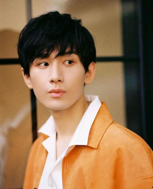 娱乐圈吃瓜成毅是谁,娱乐圈新晋小生成毅，究竟是谁？