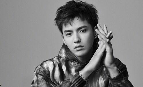 娱乐圈吃瓜群龚俊是谁呀,娱乐圈吃瓜群中的璀璨明星