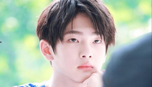 娱乐吃瓜酱好奇心路历程,揭秘好奇心驱动的探秘之旅