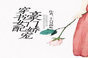 穿书娱乐圈吃瓜文小说,吃瓜文中的逆袭人生