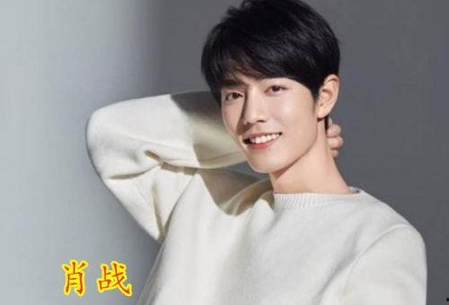 娱乐圈吃瓜爆料肖战小说,娱乐圈风云再起，揭秘明星背后的秘密