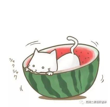 娱乐吃瓜酱头像图片高清