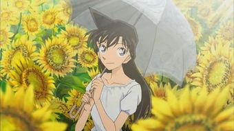 毛利兰吃瓜娱乐八卦